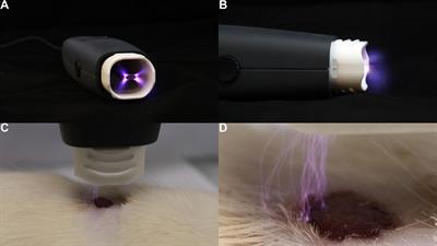 Frontiers | Plasma Dermatology: Skin Therapy Using Cold Atmospheric Plasma